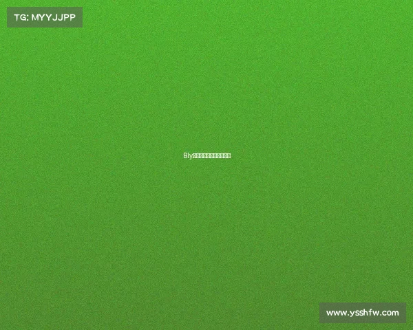 Bly电竞：新征程的崛起序章